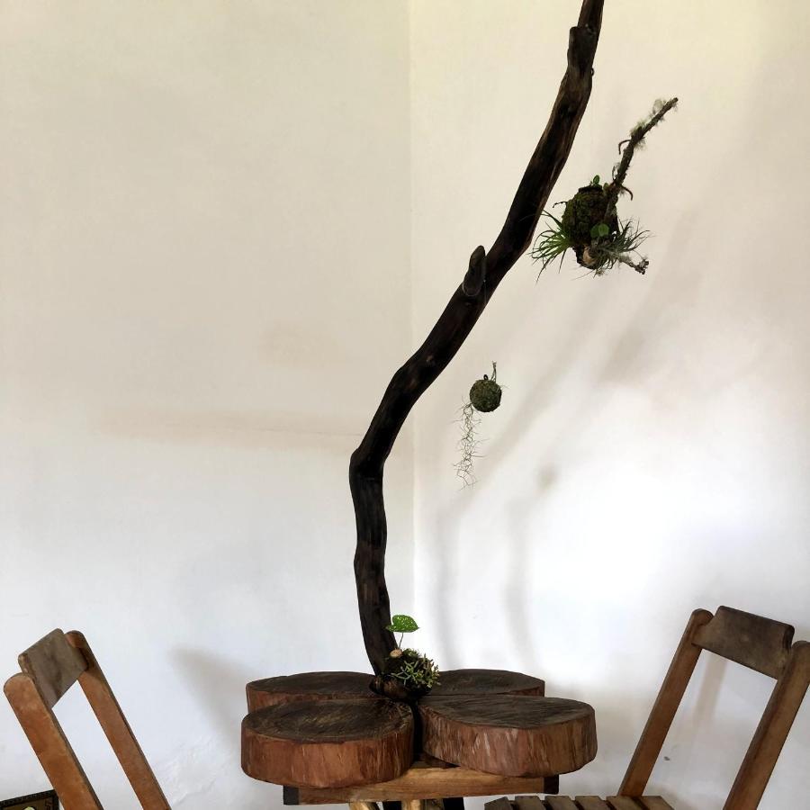 Pousada Atelier Aly Da Costa Iguape Exterior photo